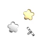 Náhradní ozdoba kytička k dermálu TITAN, závit 1,6 mm (zlacená)