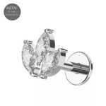 Piercing do brady - labreta titan