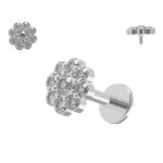 Labreta - piercing do brady kytička