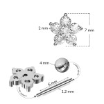 Cartilage piercing do ucha