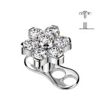 Kompletní microdermal piercing TITAN