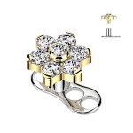 Kompletní microdermal piercing TITAN