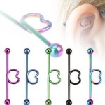 Činka industrial chirurgická ocel anodizovaná HWBSP10T (fialová)