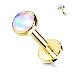 Zlacená Labreta / piercing do brady (1,2 x 6 mm)