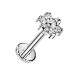 Piercing do brady - labreta kytička TITAN (1,2 x 8 mm)