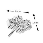 Ozdobná část k PUSH IN piercingu TITAN