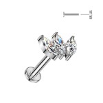 Piercing do brady - PUSH IN labreta TITAN