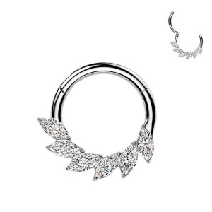 Segment kruh - septum / helix / cartilage / tragus piercing TITAN