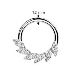 Segment kruh - septum / helix / cartilage / tragus piercing TITAN (1,2 x 8 mm)