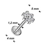 Zlacený piercing do brady - labreta kytička TITAN (1,2 x 6 mm)