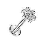 Zlacený piercing do brady - labreta kytička TITAN (1,2 x 8 mm)