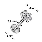 Zlacený piercing do brady - labreta kytička TITAN (1,2 x 8 mm)